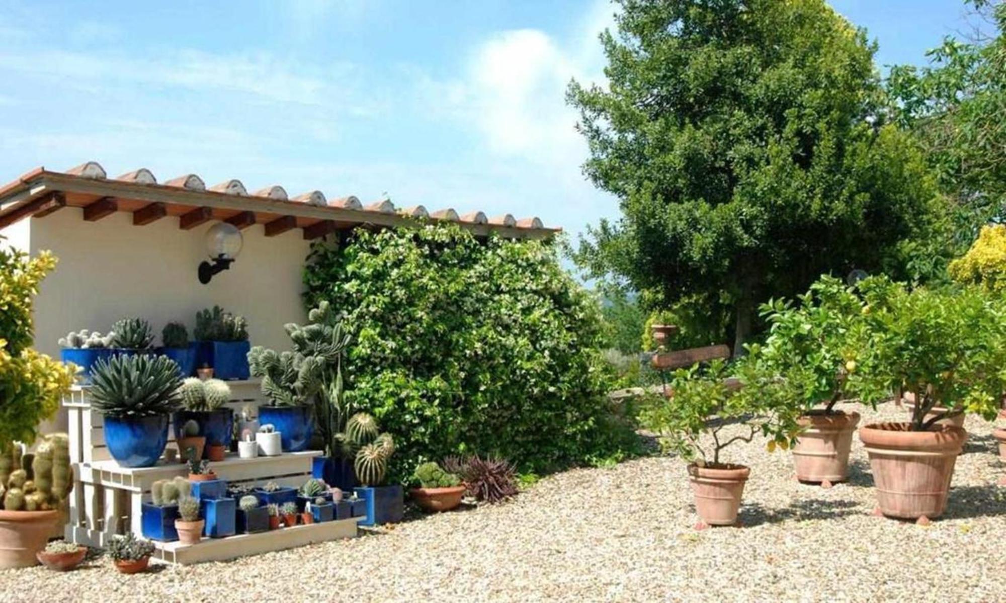 Il Frantoio Delle Grazie Apartman Firenze Kültér fotó